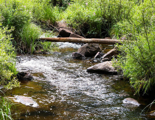 acrylic wall decor creek running thru rocks greenery with a tree foot bridge photo art  in Wyoming