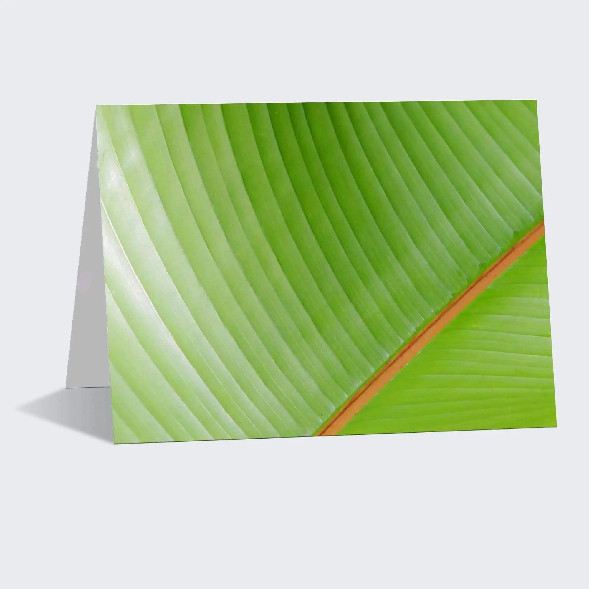 Color of Banana Leaves greeting card – tropical banana leaf abstract with bold green & orange, perfect for plant lovers & art enthusiasts.