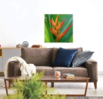 Tropical bird of paradise Orange and green fine art photography hanging over couch
