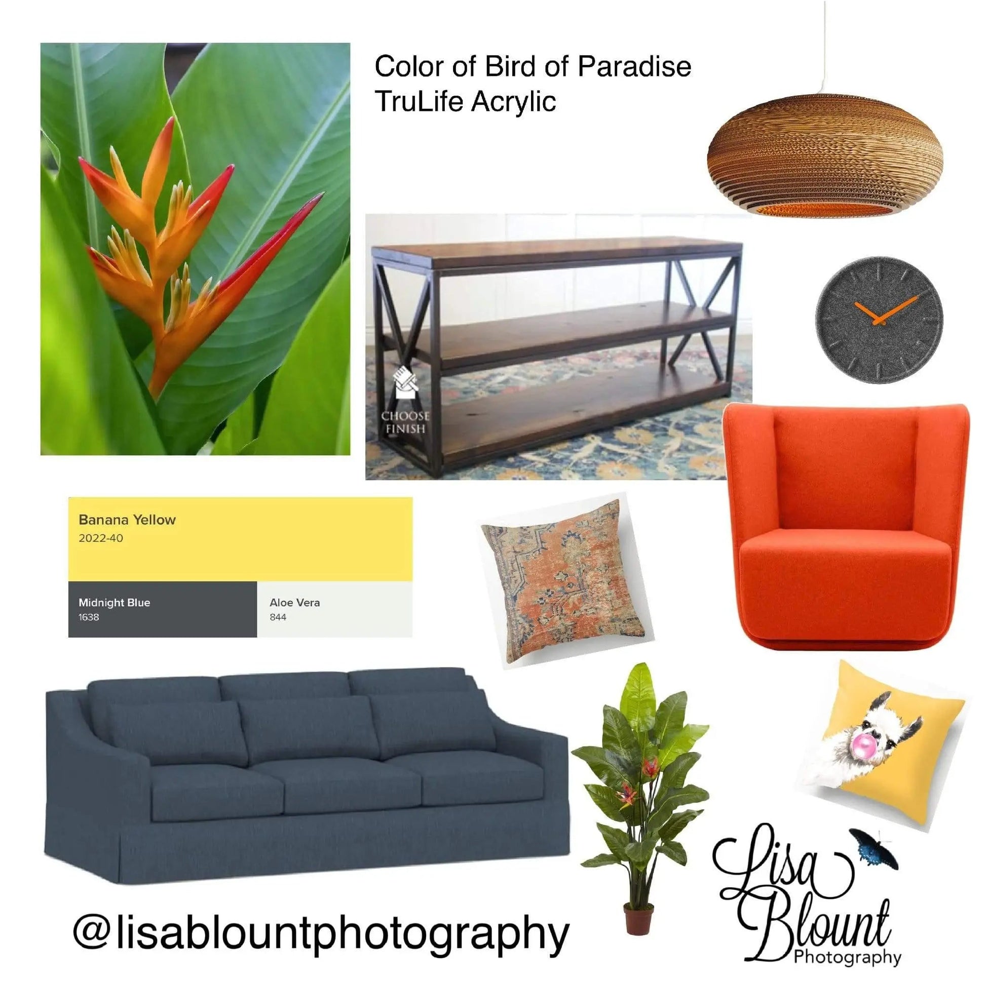 Colorful orange yellow gray and green Mood board featuring bird of paradise wall decor