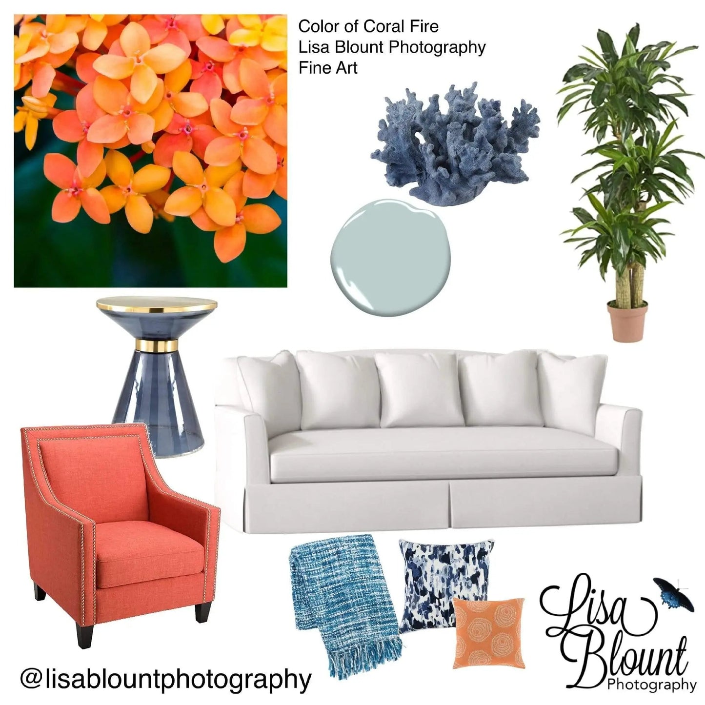 best colorful  mood board featuring orange flower art by Lisa Blount
