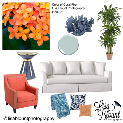 best colorful  mood board featuring orange flower art by Lisa Blount