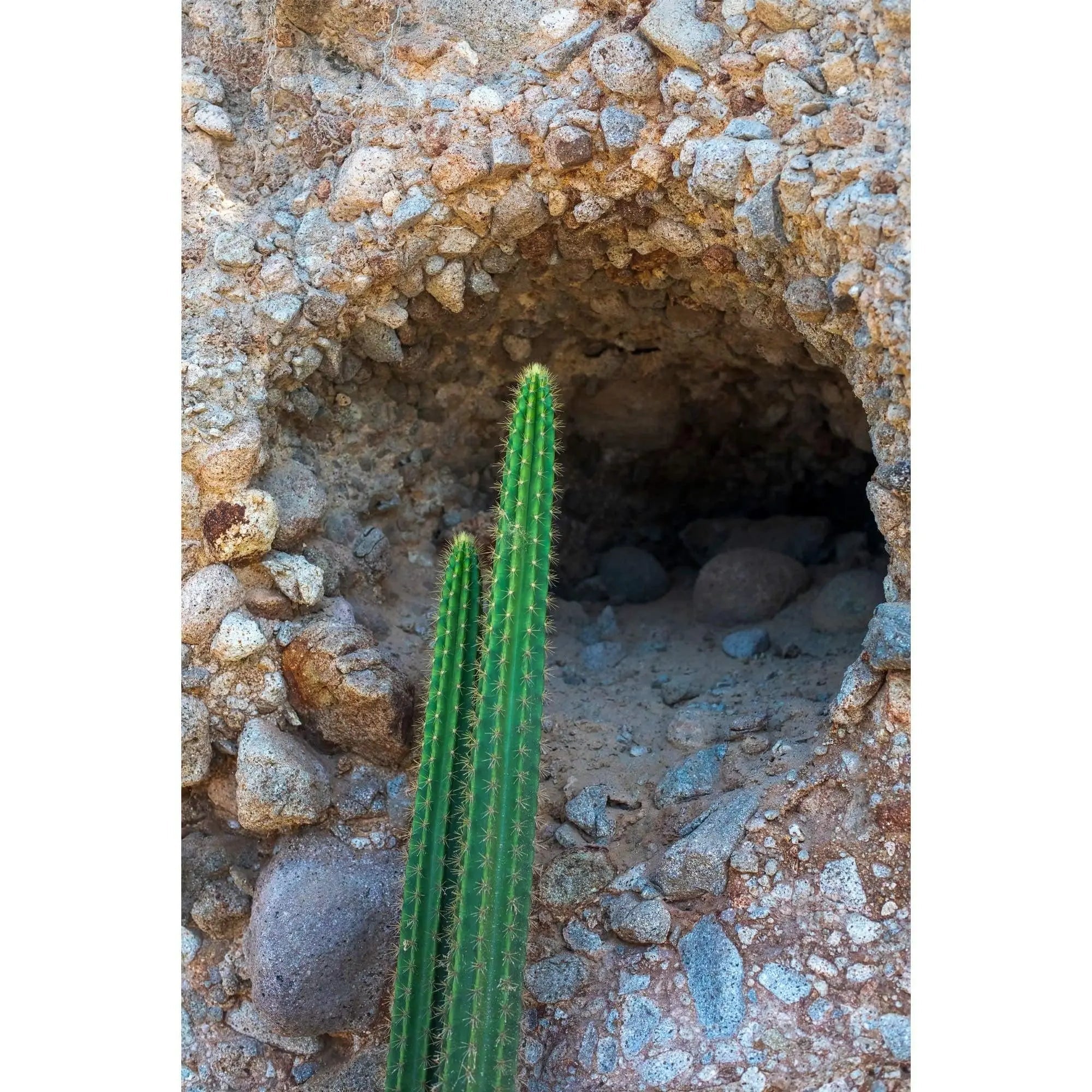 Contemporary abstract fine art for modern interiors 20x30 acrylic metal canvas