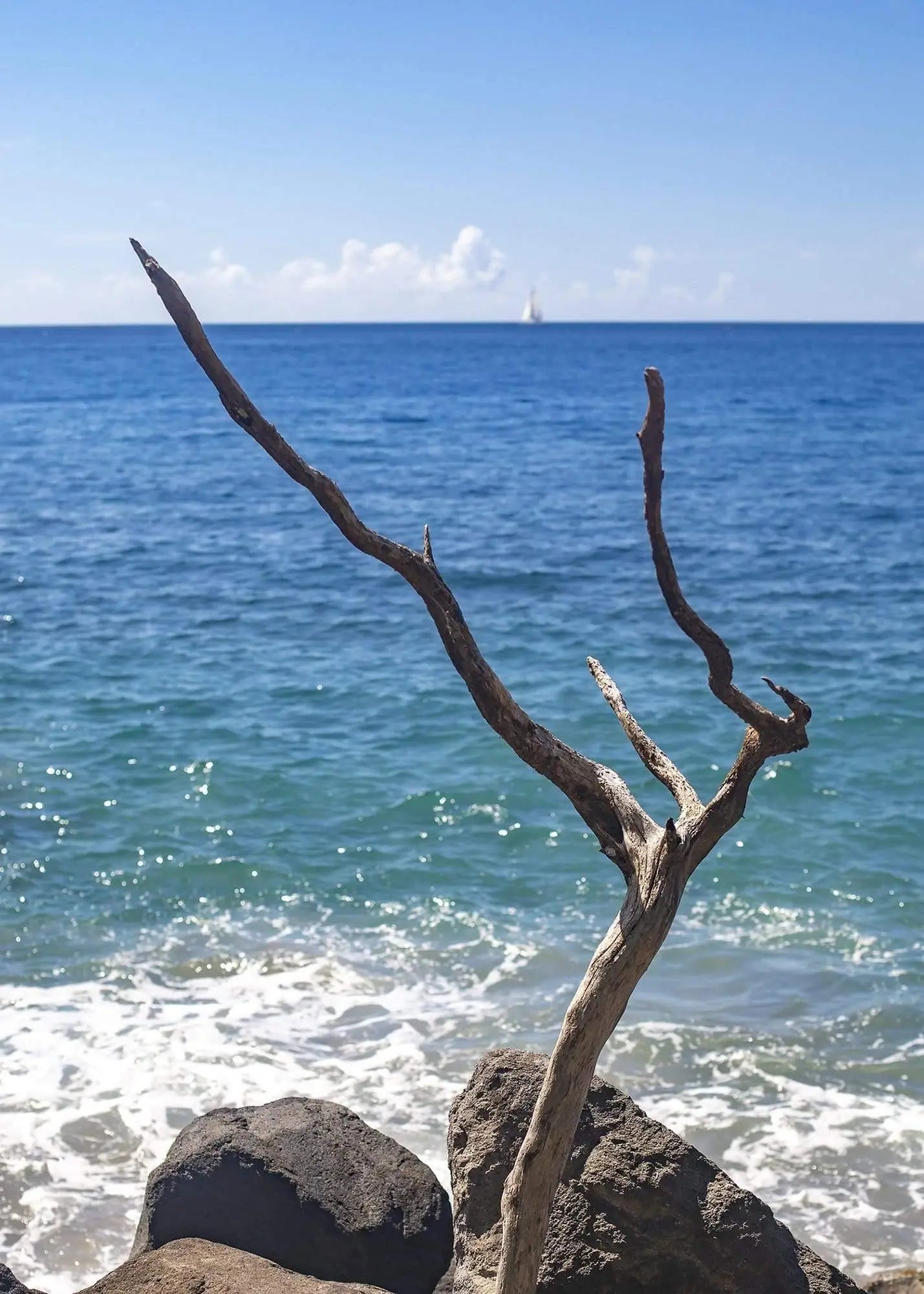 Beach house wall art with driftwood and turquoise ocean – island and coastal decor
