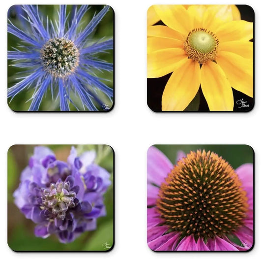 Flower power coaster set by Lisa Blount sea holly yellow blue purple wisteria echinacea fuschia ceramic paper