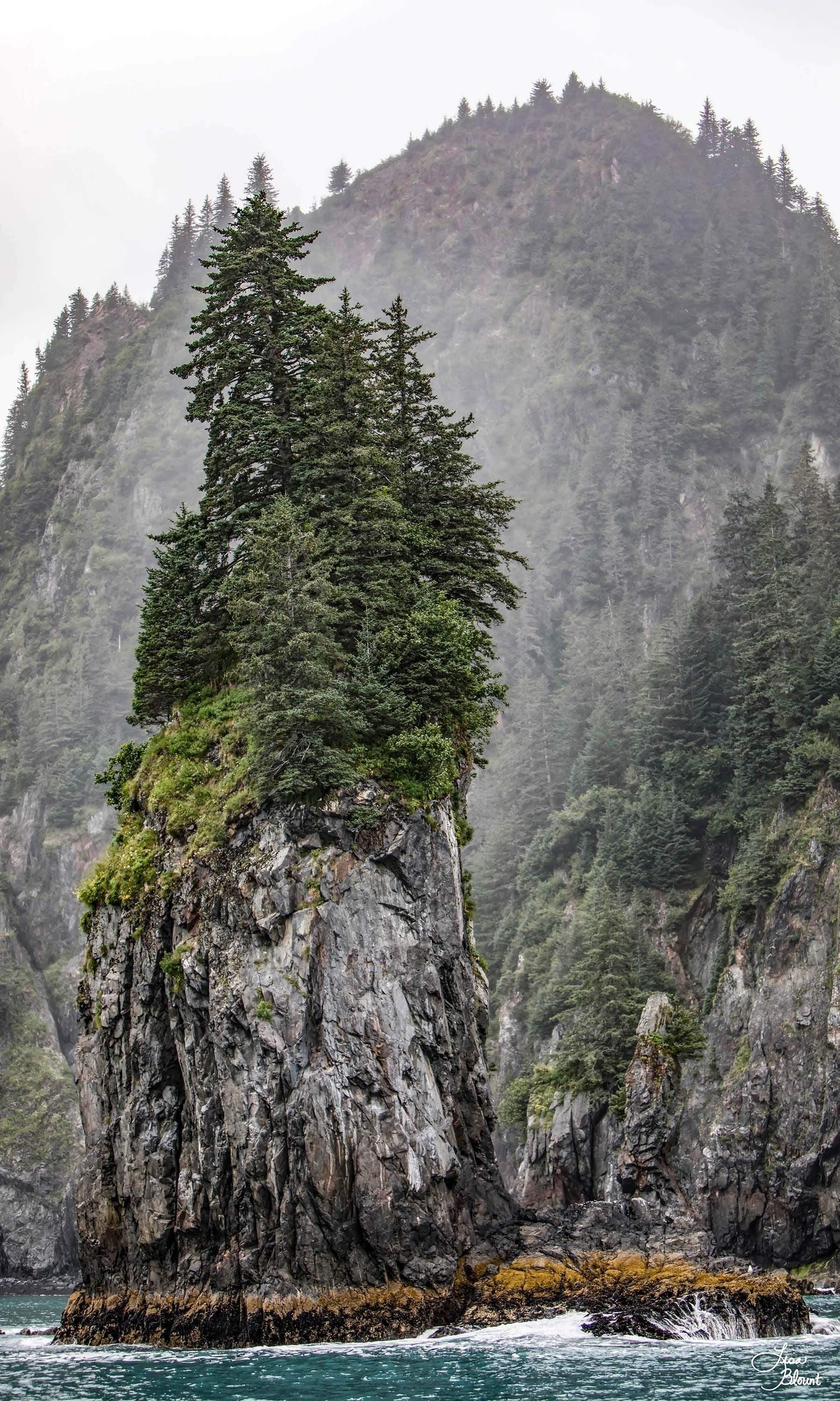 Detailed view of 'Standing Alone,' showcasing the lush greenery and teal waters of Resurrection Bay, Alaska.