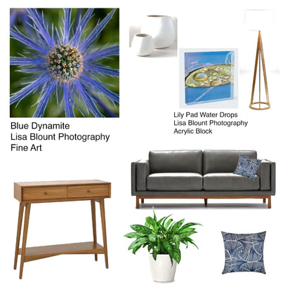 lily pad blue art mediterranean sea holly decor home office mood board