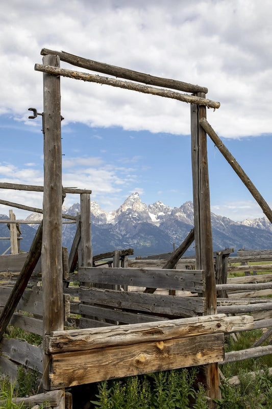 Rustic fence chute grand tetons wyoming Lisa Blount Photography