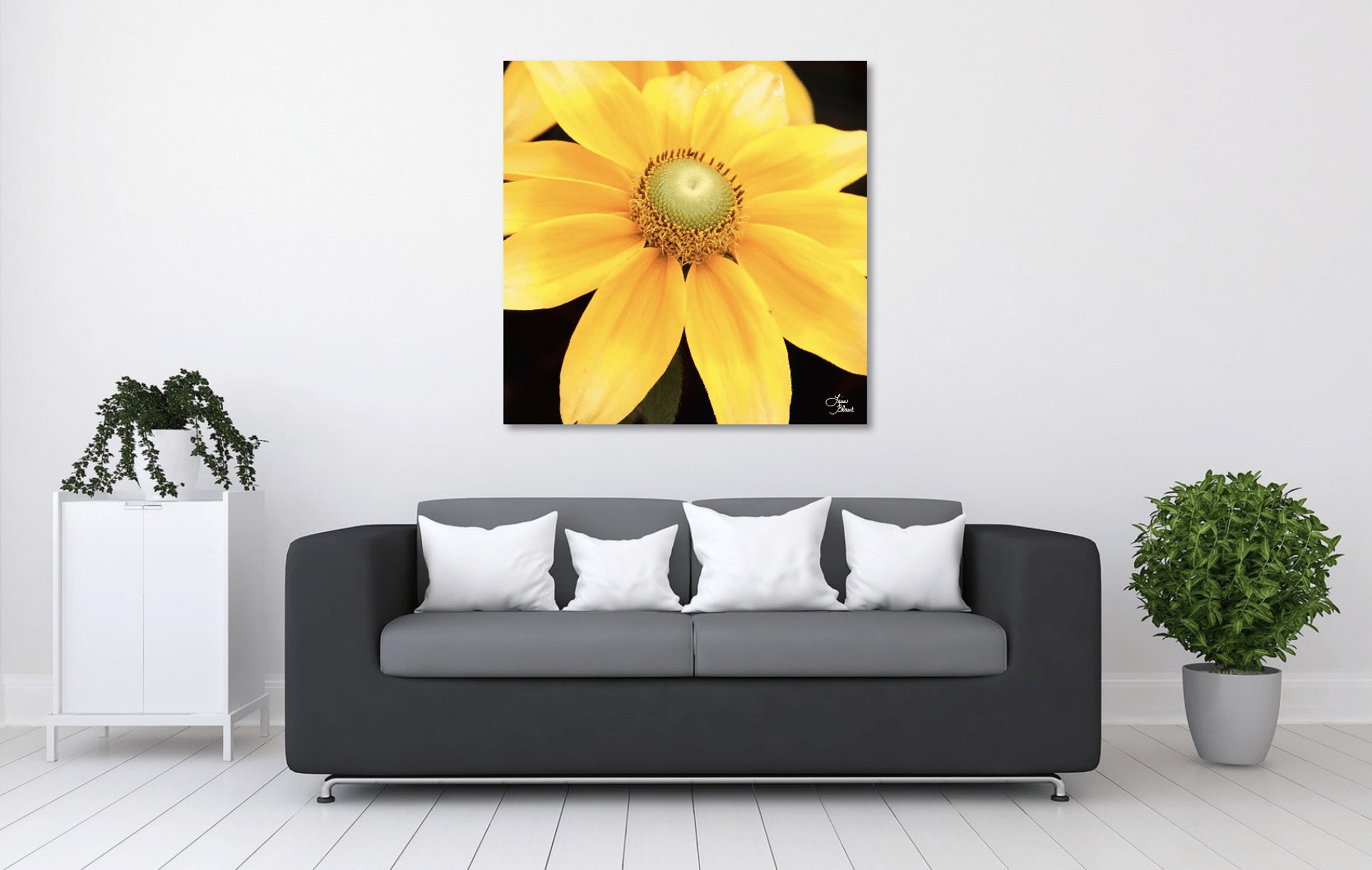 nature bright yellow cheery flower morning niagara falls decor fine art photography room view