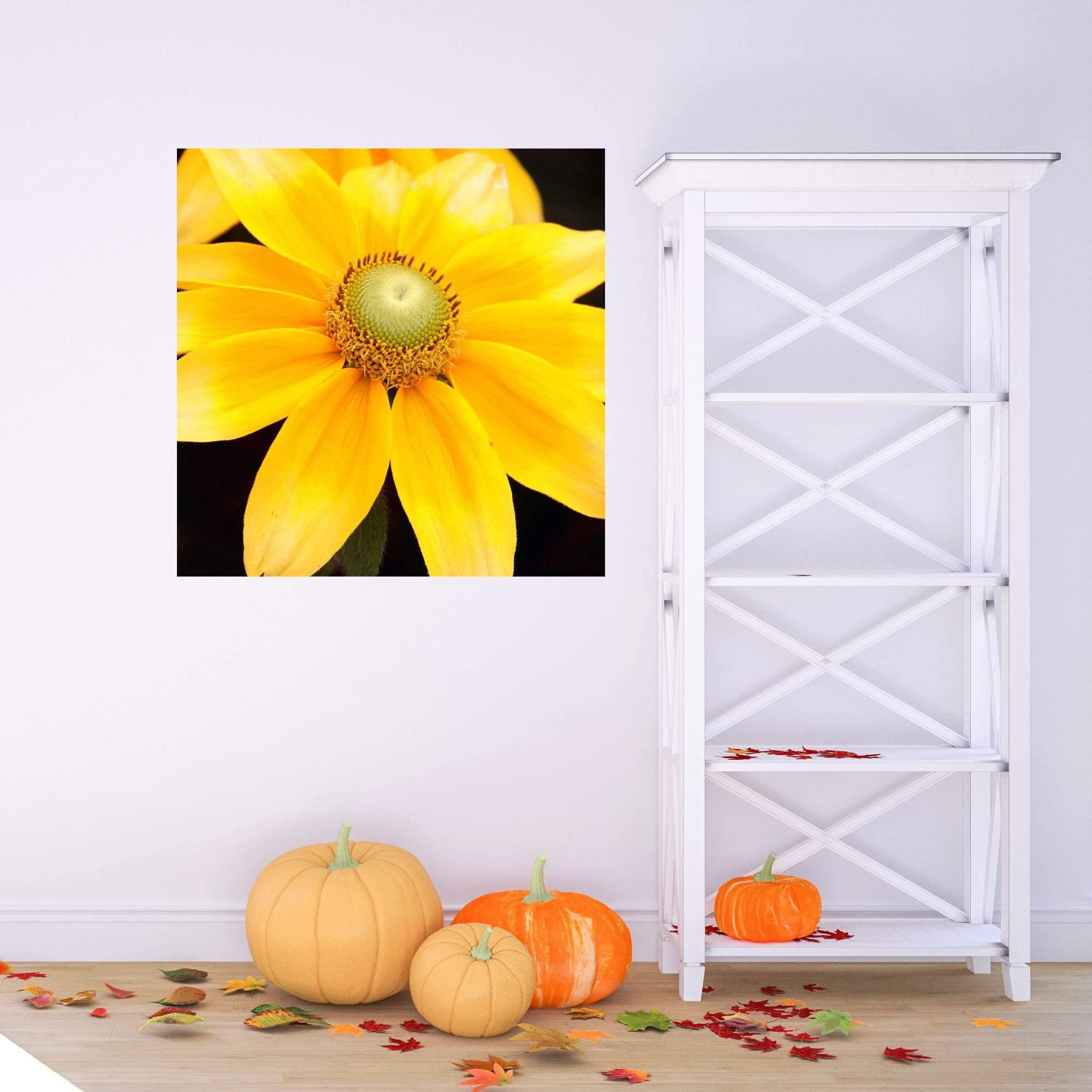 nature bright yellow cheery flower morning niagara falls decor fine art photography room view