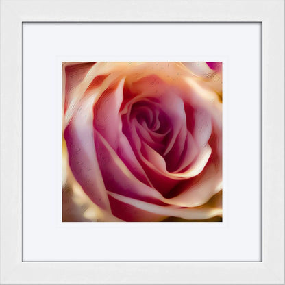 Framed Radical Rose by Lisa Blount 12x12
