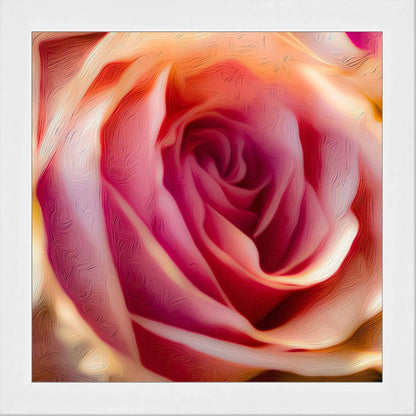 16x16 Framed Radical Rose by Lisa Blount no mat