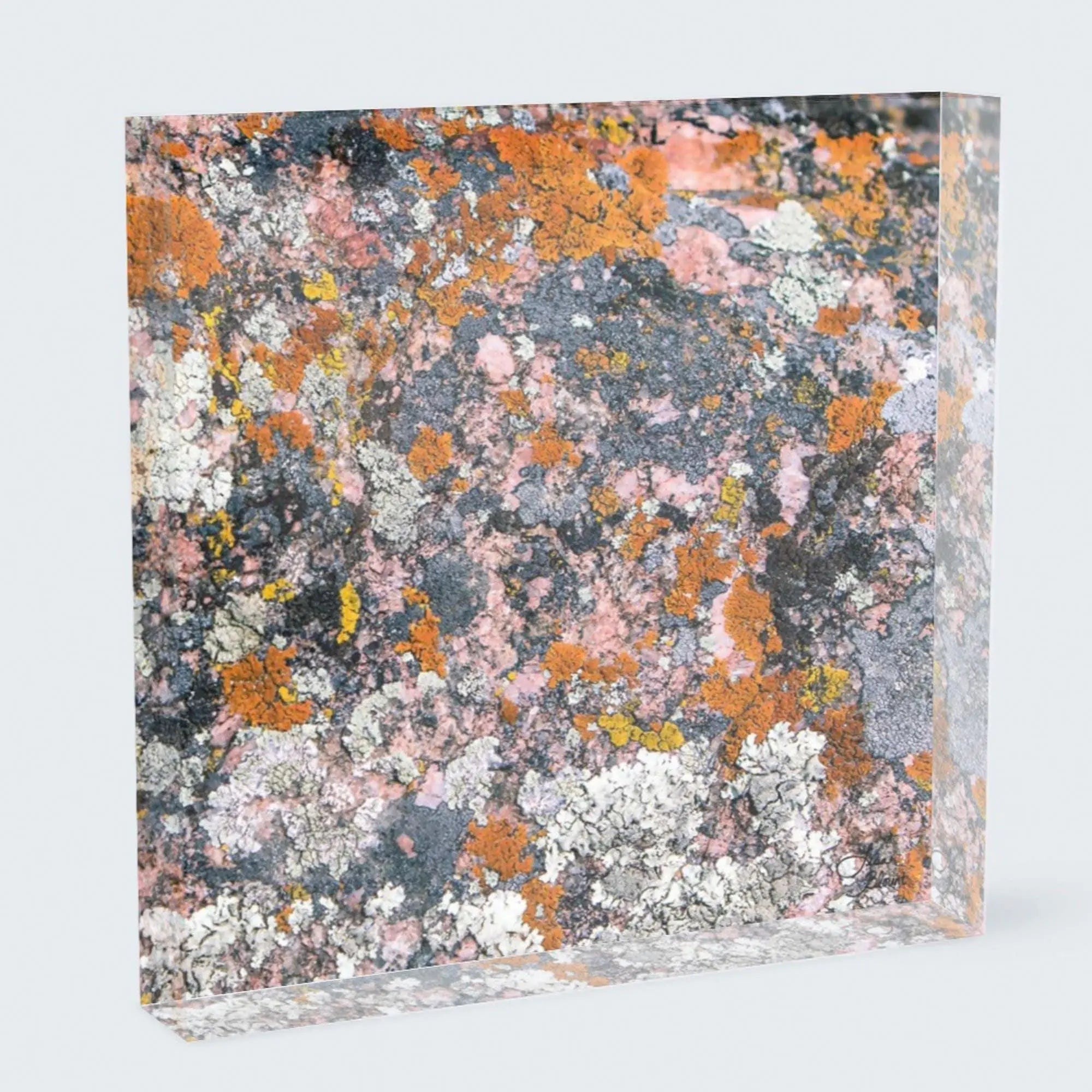 Shell Canyon fine art on acrylic block by Lisa Blount