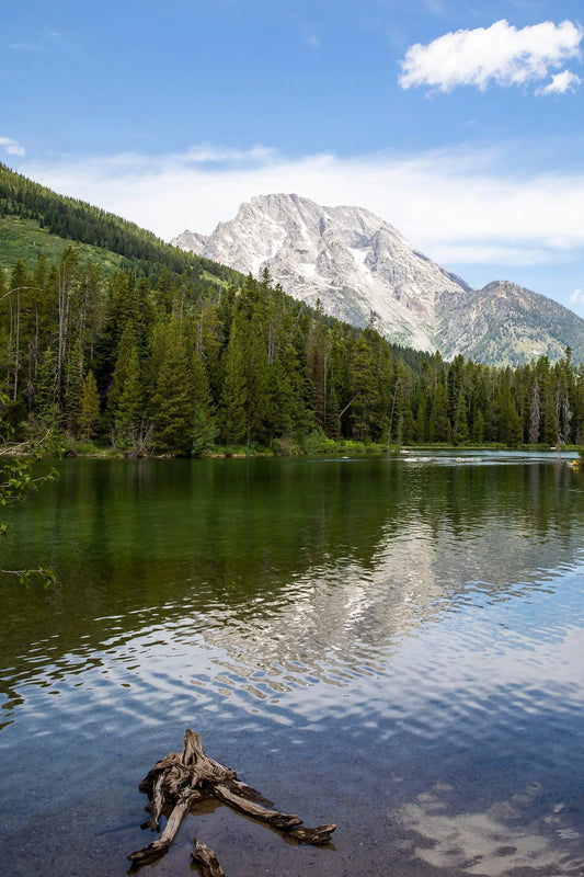 String Lake Grand Tetons Wyoming  20x30