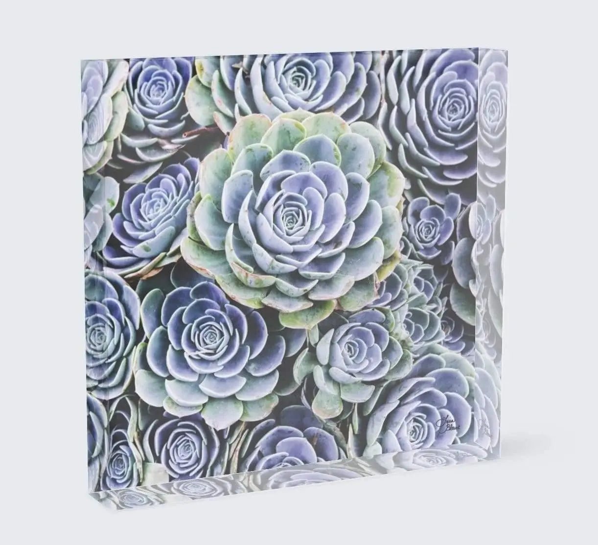 Blue Succulent acrylic block showing a freestanding 3D display of layered blue and green succulent rosettes.