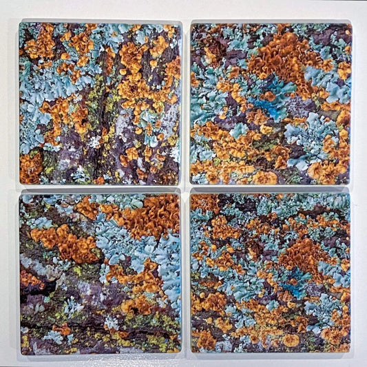 white oak lichen abstract orange nature wood green brown rustic rust fine art photography coaster set-of-4 set 